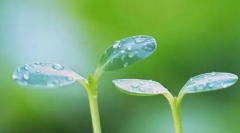 超声波羞羞免费视频APP儿童生长发育测试仪厂家告诉你孩子长高个的秘密，再也不用担心宝宝长不高了