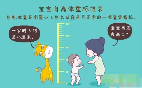 超声波羞羞免费视频APP正确测量方法标准身高体重表